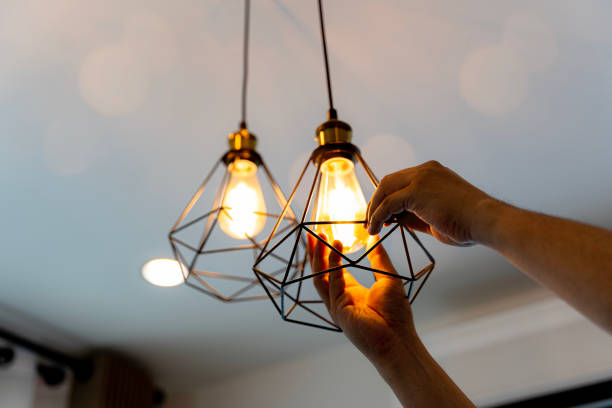 Best Generator Installation Services  in Constantine, MI