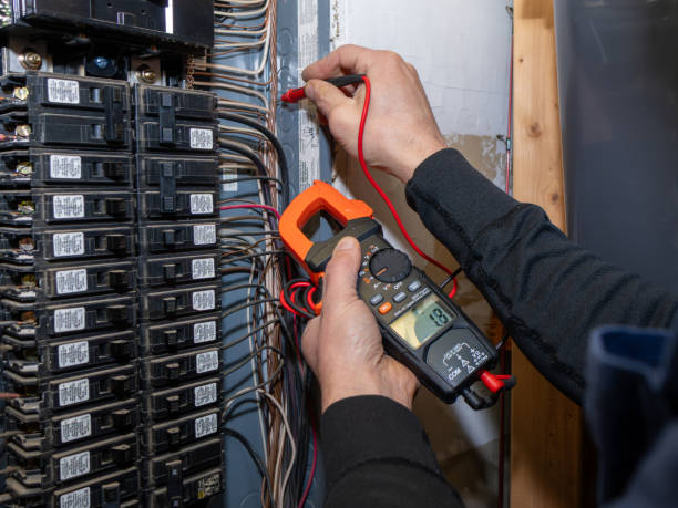 Best Affordable Electrical Installation  in Constantine, MI